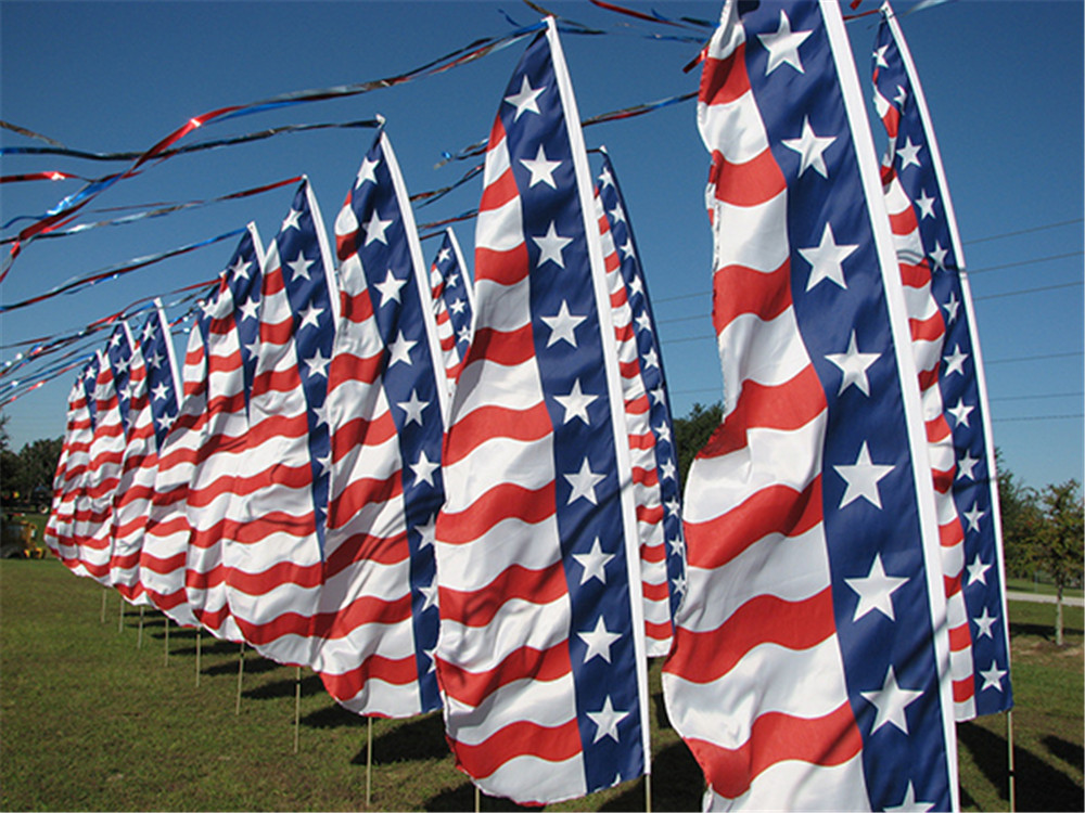 Customized Blade Flags