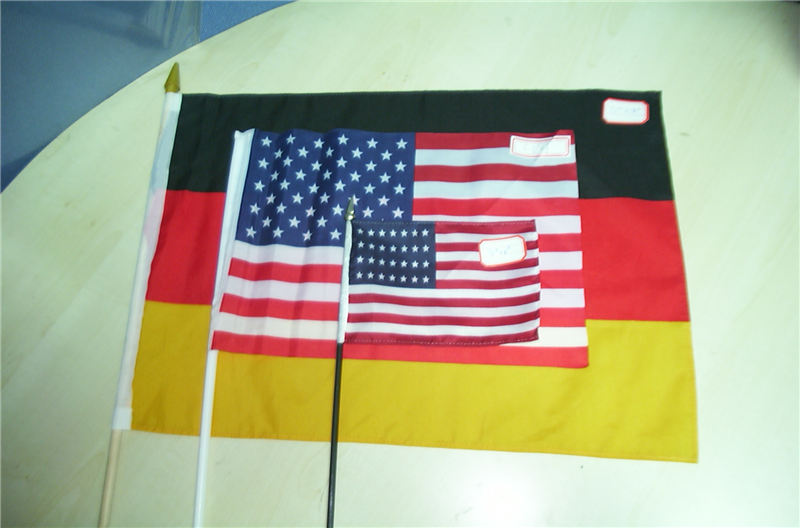 Fabric Mini Hand Waving Flags